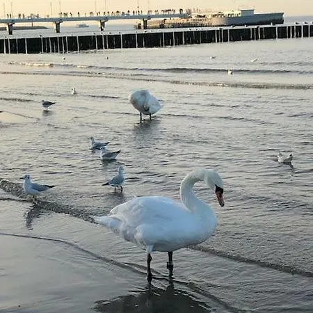 Blizej Morza Premium Iii